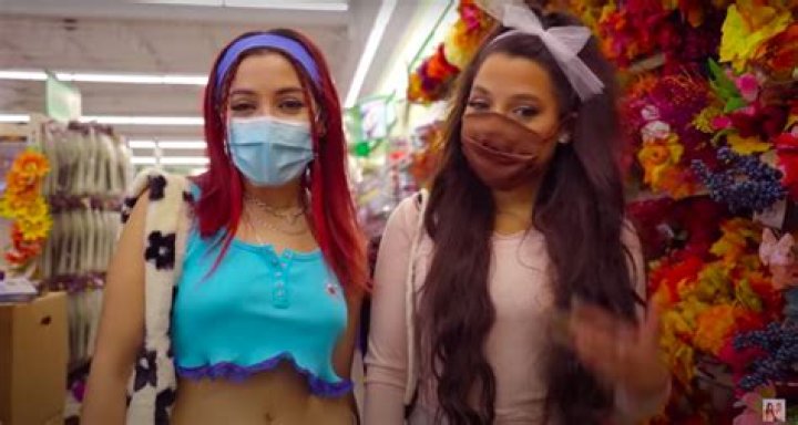 Niki and Gabi Make Highly-Anticipated YouTube Comeback (Watch) – Celeb Secrets