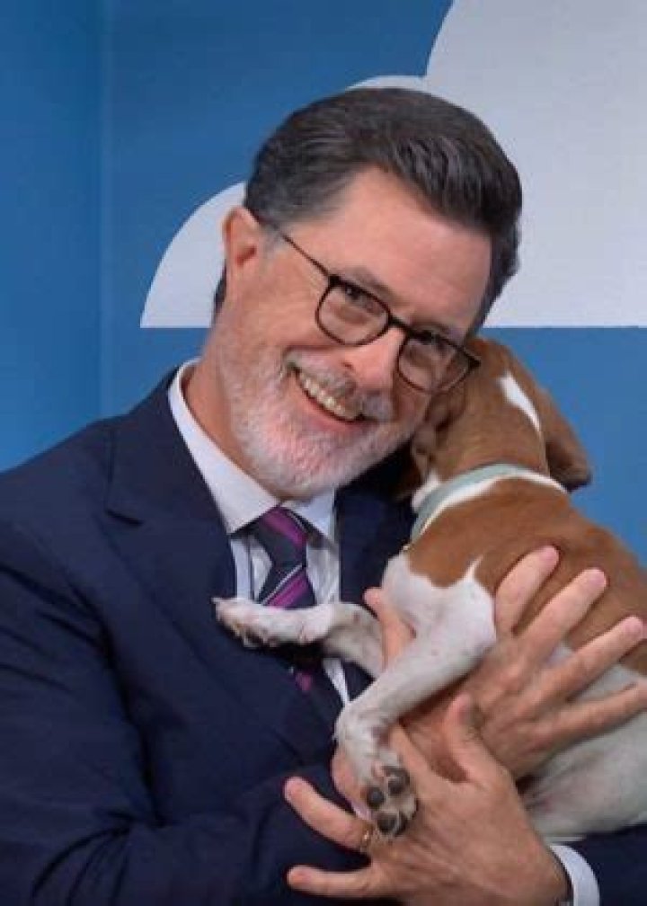 Stephen Colbert Height, Weight, Family, Spouse, Education, Biography